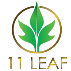 11 Leaf Hotels 